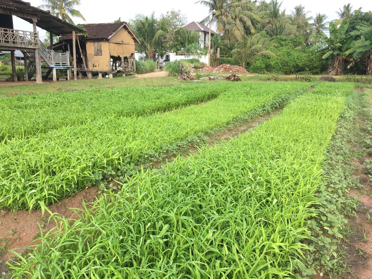 Green Life Cottage Siem Reap Eksteriør bilde
